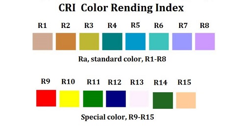 Φωτογραφία από CRI/Ra