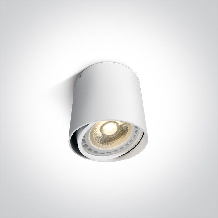 Φωτογραφία από 13 Wall & Ceiling Adjustable Ceiling Lights