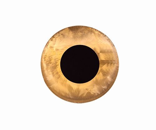 Φωτογραφία από Round Wall Light