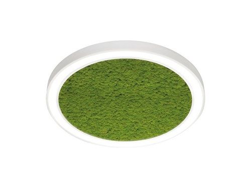 Φωτογραφία από FI ALPHA MOSS CEILING 
