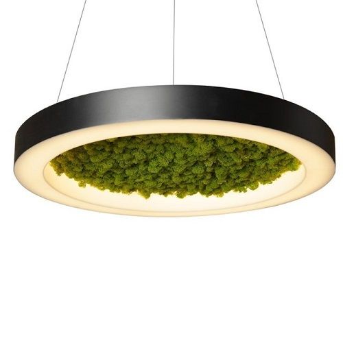 Φωτογραφία από FI ALPHA MOSS PENTAND