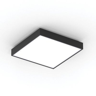 Φωτογραφία από DISCUS Q