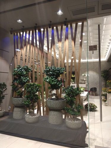 Φωτογραφία από 