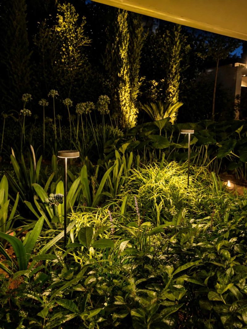 Φωτογραφία από Shaping Nature with Light
